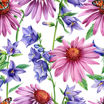 Flowers echinacea and bluebell, watercolor drawings, floral design, seamless pattern