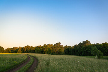 Landscape road over a green meadow with trees at sunset.