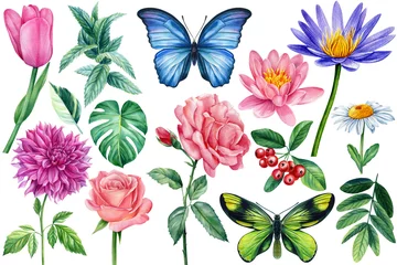  Set of chamomile, rose, lotus, tulip, mint and butterfly. Watercolor flower © Hanna