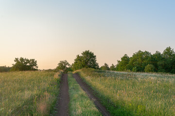 Fototapeta na wymiar Landscape road over a green meadow with trees at sunset.