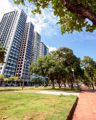 Aurorizando - O Recife de Baixo