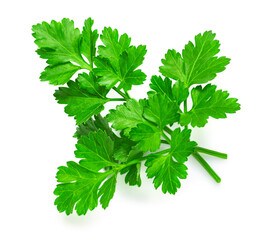 Parsley herb isolated on white background. Parsley leaf top view, flat lay.