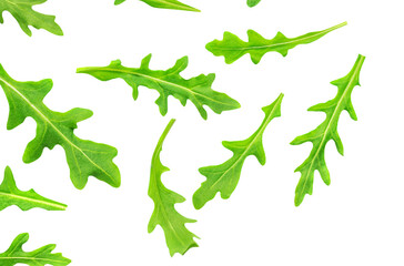 Set of Green rucola leaves isolated on white background. Fresh arugula collection. Pattern.