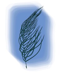 illustration of a leaf