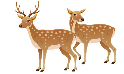 Deer oriental style illustration male and female pair