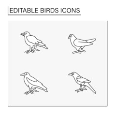 Birds line icons set. Different types of birds. Magpie, raven, crow and dove.Beautiful domestic and wild birds. Nature concept. Isolated vector illustrations. Editable stroke