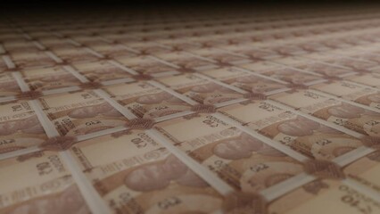 10 Indian rupees bills on money printing machine. Video of printing cash. Banknotes. INR.	
