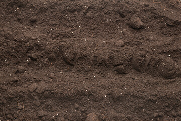 Black land for plant background. Top view.