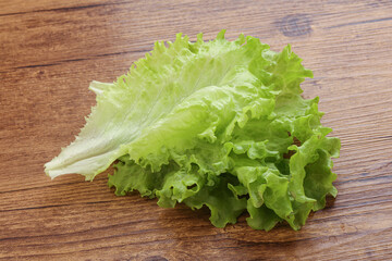 Fresh green salad lettuce leaves