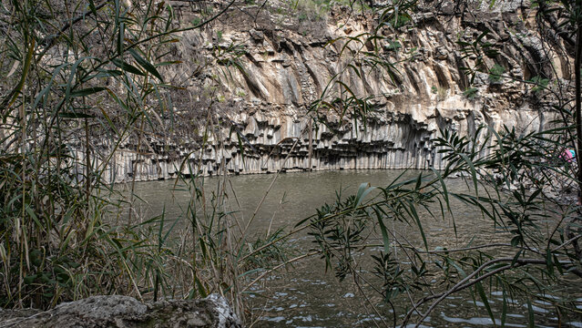 Vew of the hexagonal basalt columns wal in the Hexagon [Meshushim] Pool, a natural pool by Meshushim Stream in Yehudia Forest Nature Reserve, in central Golan Heights, Israel