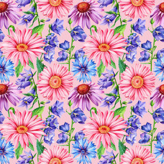 Flowers Cornflower, echinacea and bluebell, floral design, Wildflowers watercolor seamless pattern