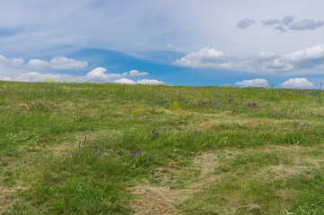Fototapeta na wymiar Summer landscape with hilly meadow near Dnipro city in central Ukraine