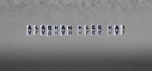 alaskan klee kai word or concept represented by black and white letter cubes on a grey horizon...