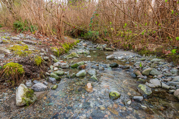 shot of majestic mountain creek with rocky background in Vancouver, Canada