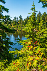 lake with rocks and forest in Vancouver, Canada, North America.