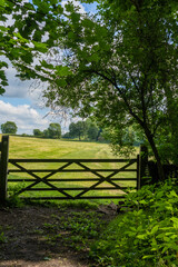 A closed wooden gate with overhanging trees leading to a tranquil Farmer's field on a summer day.