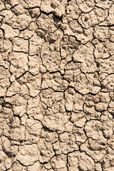 The drought land texture background. The global shortage of water on the planet.