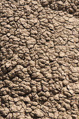 The drought land texture background. The global shortage of water on the planet.