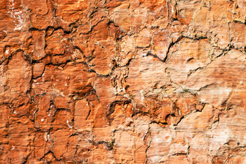 Abstract rugged surface of brown color abandoned cement plaster wall for texture background