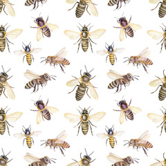 Watercolor seamless pattern with honey bees, ornament on white background.