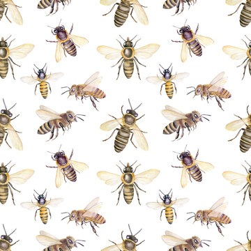 Watercolor seamless pattern with honey bees, ornament on white background.