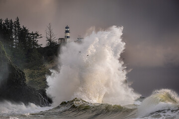 Cape Disappointment