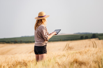 Farmer standing in barley field and examining quality of produce before harvest. Woman using digital tablet for smart farming