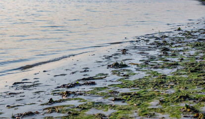 Sandy river shore in the evening with selective focus