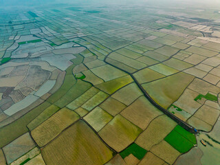 Aerial view of agricultural field in Sapahar, Rajshahi state, Bangladesh.