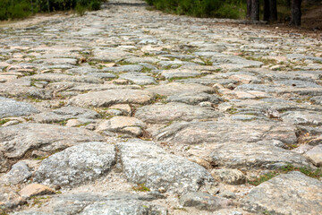 The background is in the form of a stone old road paved with large cobblestones.