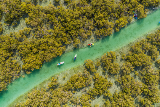 Aerial view of people doing kayak in a small river off Abu Dhabi, United Arab Emirates.