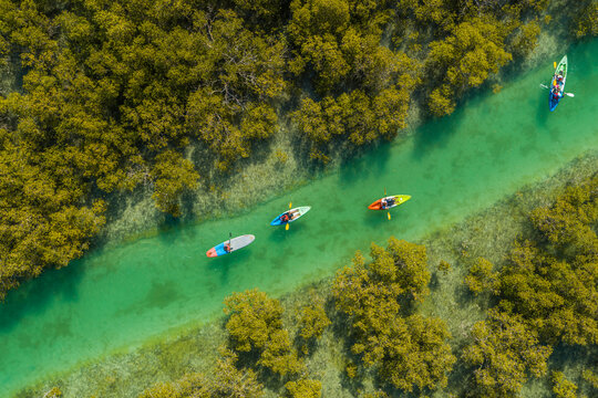 Aerial view of people doing kayak in a small river off Abu Dhabi, United Arab Emirates.