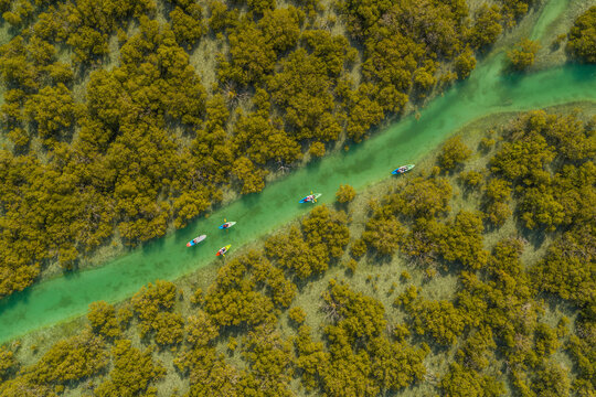 Aerial view of people doing kayak in a small river off Abu Dhabi, United Arab Emirates.