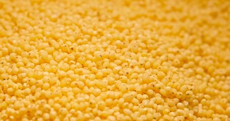 Closeup photo of natural dried seeds rotating