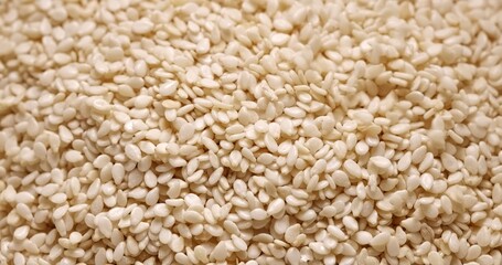 Closeup photo of natural dried white sesame seeds flowing