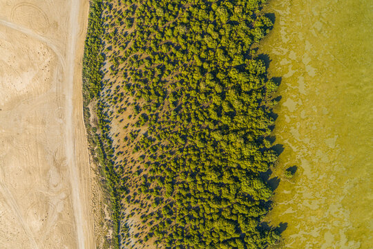 Aerial view of Mangrove Beach in marshland in Umm al-Quwain, United Arab Emirates.