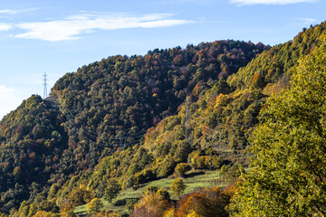 landscape with power line