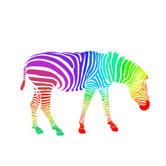 Fototapeta na wymiar Rainbow zebra silhouette isolated on white background. Vector