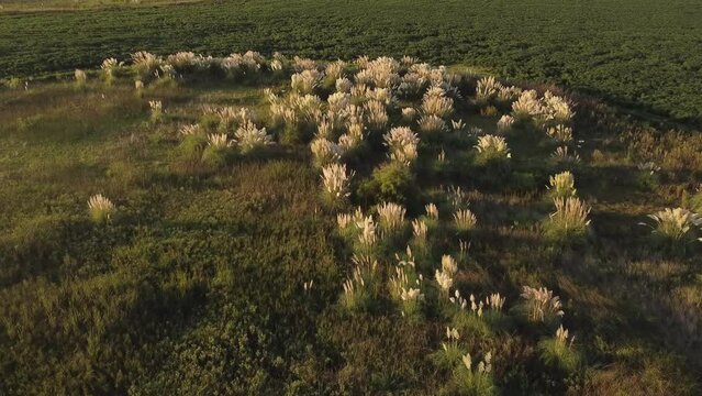 Texturas drone