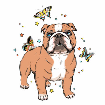 Cute english bulldog with butterflies.  Vector illustration. Stylish image for printing on any surface
