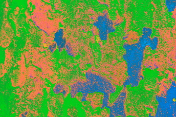 Plane tree bark close-up, changed colors, vegetal background.