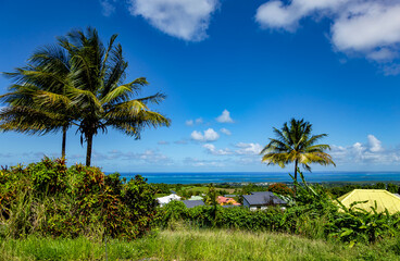 North coast of Basse-Terre, Guadeloupe, Lesser Antilles, Caribbean.