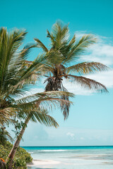 Fototapeta na wymiar Travel Photography in Punta Cana, Dominican Republic, Saona Island