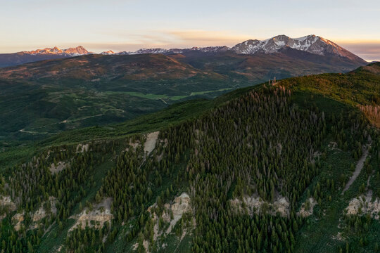 Aerial view of pine trees forest on mountain at Rocky Mountains in Boulder, Colorado, United States.