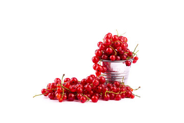Metal bucket is full ripe sweet red currant on white background.