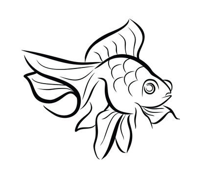 The symbol of a gold fish 
