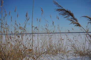 Lake Ladoga in winter, white color