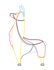 illustration lama © Kateryna Karpenko
