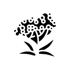 elderberry tree branch glyph icon vector. elderberry tree branch sign. isolated contour symbol black illustration