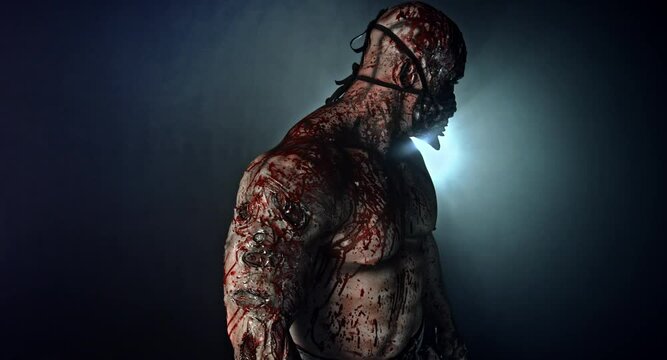 zombie killer, apocalypse, war